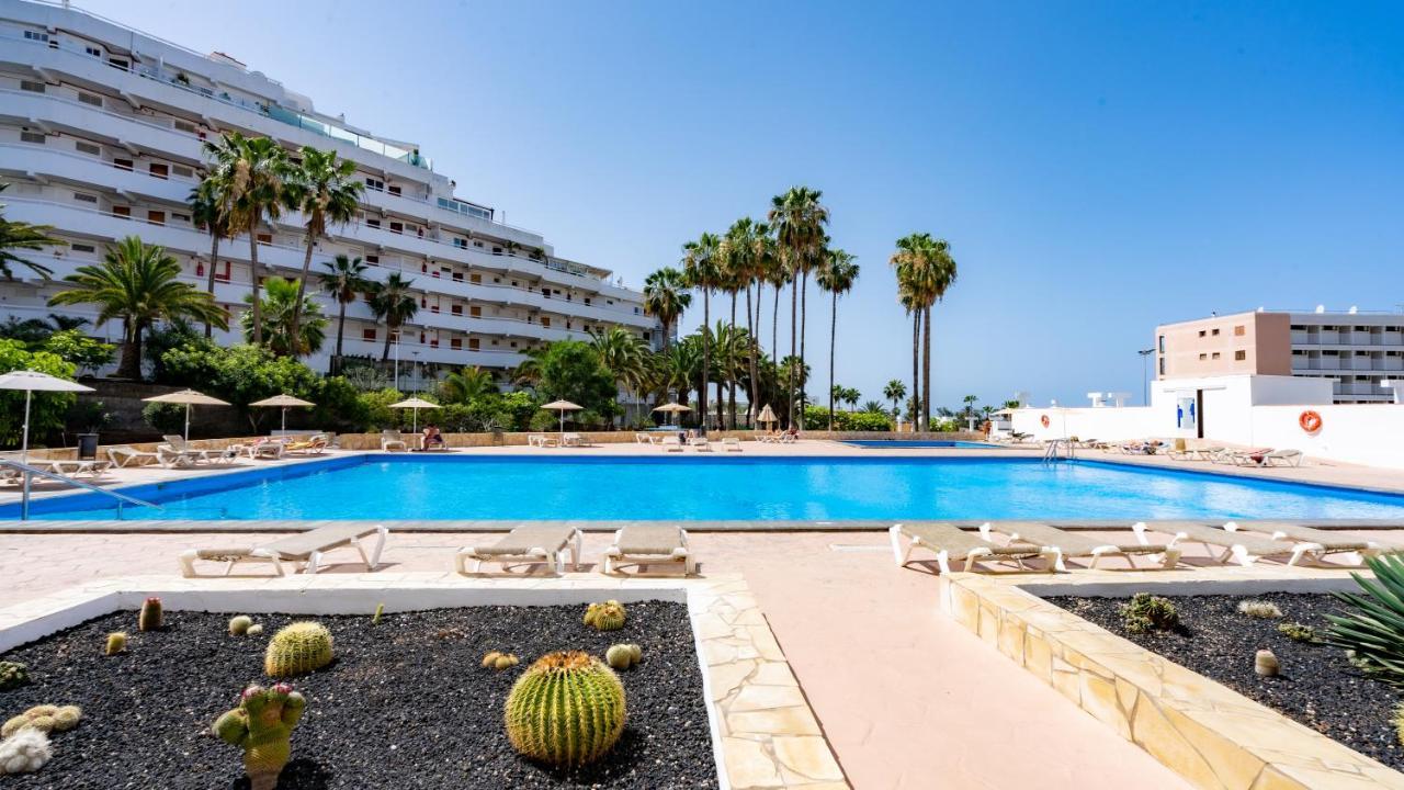 Apartment In Vina Del Mar - Playa De Las Americas מראה חיצוני תמונה
